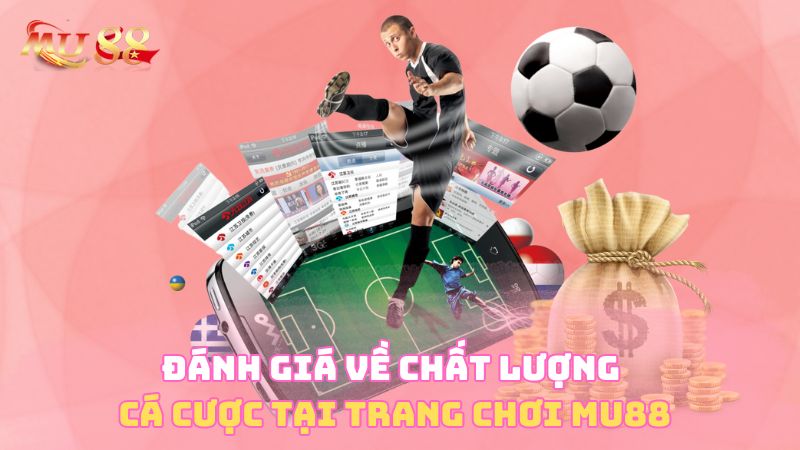 Đánh giá về chất lượng cá cược tại trang chơi