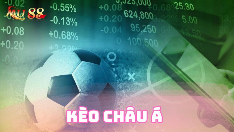 Kèo châu Á được yêu thích nhất hiện nay