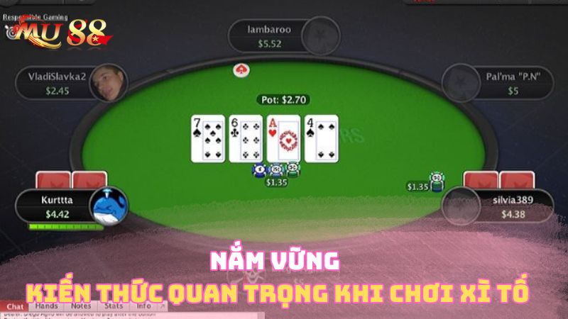 Nắm vững kiến thức quan trọng khi chơi xì tố