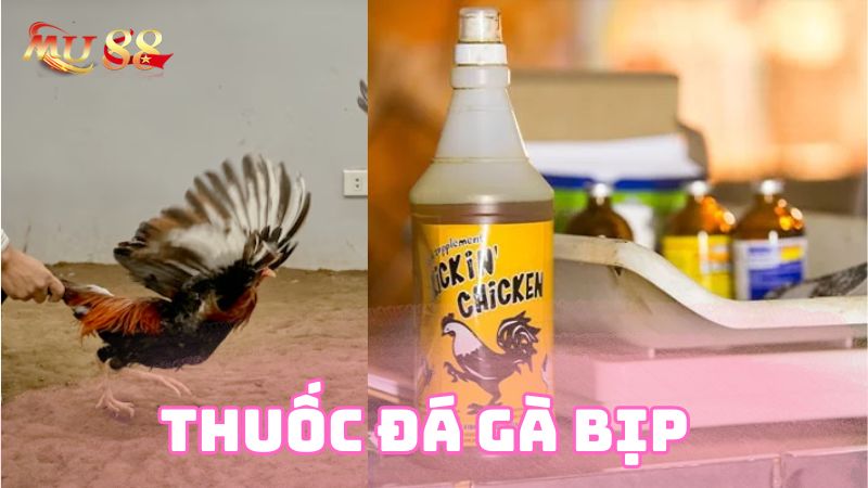 Thuốc đá gà bịp phổ biến trên thị trường